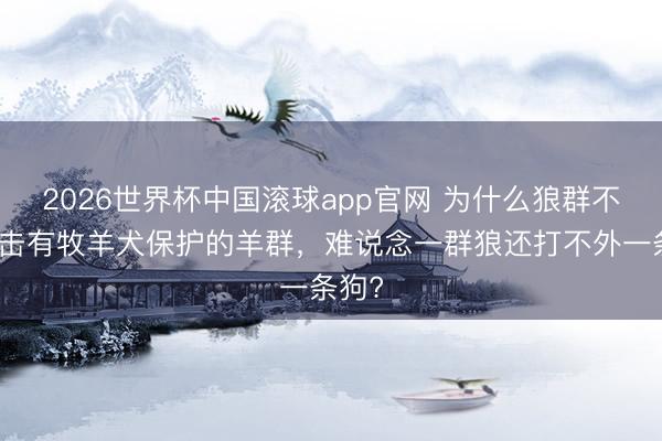 2026世界杯中国滚球app官网 为什么狼群不敢抨击有牧羊犬保护的羊群，难说念一群狼还打不外一条狗?