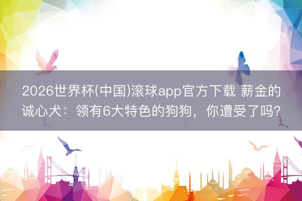 2026世界杯(中国)滚球app官方下载 薪金的诚心犬:领有6大特色的狗狗,你遭受了吗?