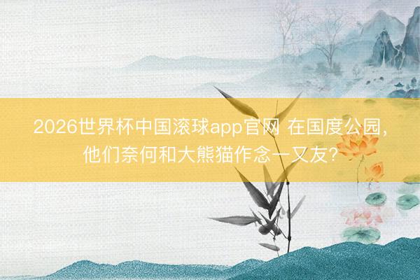 2026世界杯中国滚球app官网 在国度公园，他们奈何和大熊猫作念一又友?