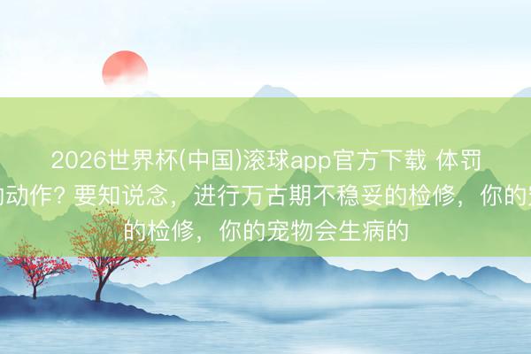 2026世界杯(中国)滚球app官方下载 体罚能更正猫咪的动作? 要知说念，进行万古期不稳妥的检修，你的宠物会生病的