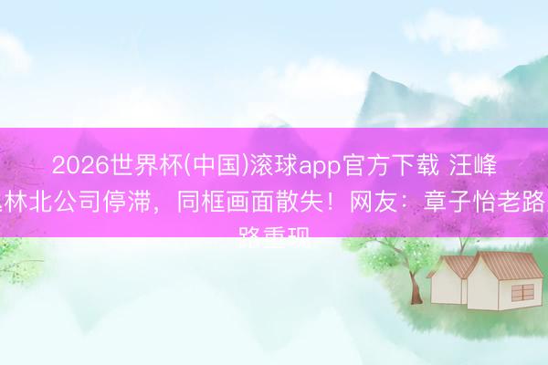 2026世界杯(中国)滚球app官方下载 汪峰与丛林北公司停滞，同框画面散失！网友：章子怡老路重现