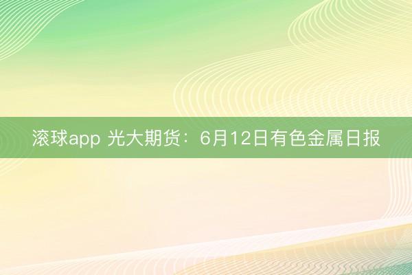 滚球app 光大期货：6月12日有色金属日报