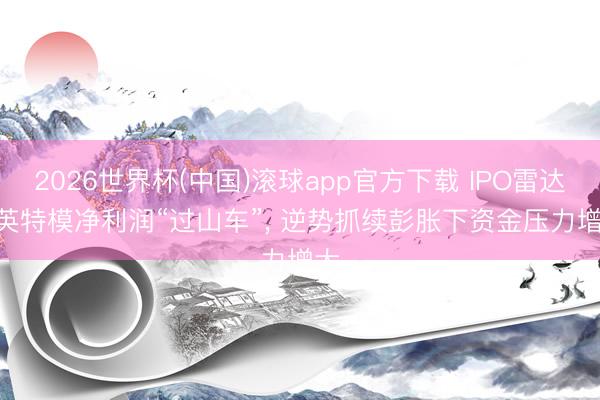 2026世界杯(中国)滚球app官方下载 IPO雷达 | 英特模净利润“过山车”， 逆势抓续彭胀下资金压力增大