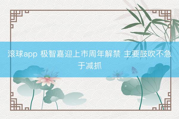 滚球app 极智嘉迎上市周年解禁 主要鼓吹不急于减抓