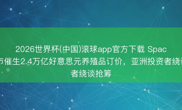2026世界杯(中国)滚球app官方下载 SpaceX上市催生2.4万亿好意思元养殖品订价，亚洲投资者绕谈抢筹