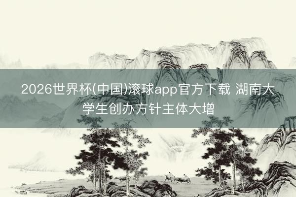 2026世界杯(中国)滚球app官方下载 湖南大学生创办方针主体大增