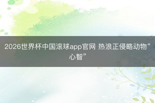 2026世界杯中国滚球app官网 热浪正侵略动物“心智”