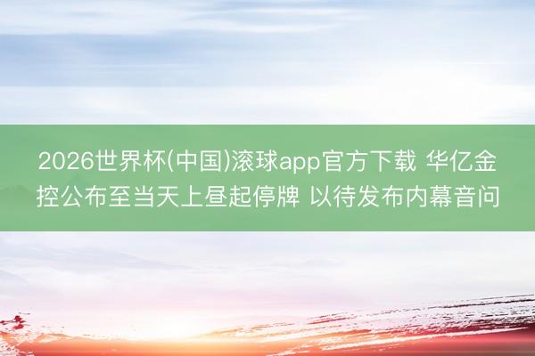 2026世界杯(中国)滚球app官方下载 华亿金控公布至当天上昼起停牌 以待发布内幕音问