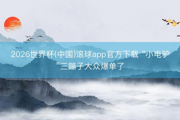 2026世界杯(中国)滚球app官方下载 “小电驴”三蹦子大众爆单了