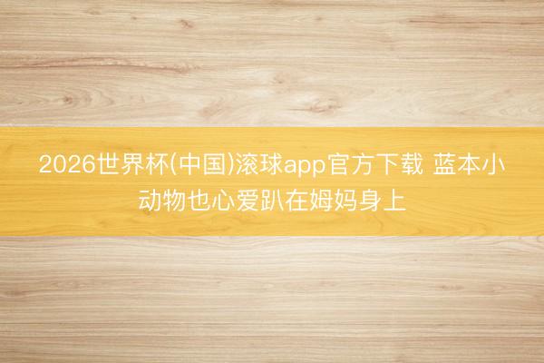 2026世界杯(中国)滚球app官方下载 蓝本小动物也心爱趴在姆妈身上