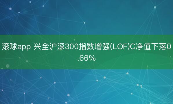 滚球app 兴全沪深300指数增强(LOF)C净值下落0.66%